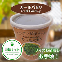 Natural Farm カンタン栽培キット チマサンチュ 栽培セット 花さんぽ 種子