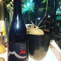 Munjebel Rosso MC (Monte Colla) 2016 / Frank Cornelissen