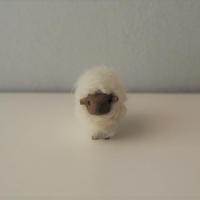hitsuji object  /  mame size   Walnut