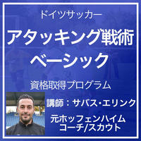 ホッフェンハイム式 ドイツサッカーグループ戦術資格取得プログラム Ifco 国際サッカー