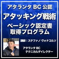 ホッフェンハイム式 ドイツサッカーグループ戦術資格取得プログラム Ifco 国際サッカー