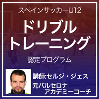 ホッフェンハイム式 ドイツサッカーグループ戦術資格取得プログラム Ifco 国際サッカー