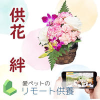 【供花・絆】リモート供養お受付（尼崎）