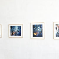 火天　- Ignite Forest -