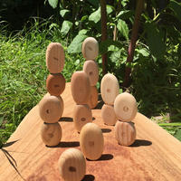まあるいつみきmini stand 16個（16樹種）ｾｯﾄ