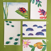 オオムラサキ幼虫 見ました ショートスタンプ お拾いもの