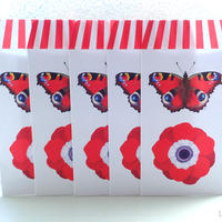 オオムラサキ幼虫 見ました ショートスタンプ お拾いもの