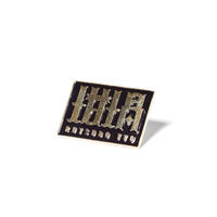 LOGO PIN
