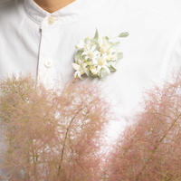 芍薬 ピンクハワイアンコーラル Tokyo Shokubutsu Zufu