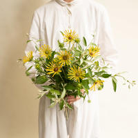 カラー ウェディングマーチエレガンス Tokyo Shokubutsu Zufu