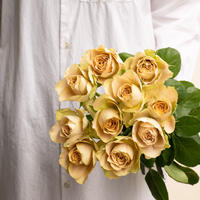 芍薬 ピンクハワイアンコーラル Tokyo Shokubutsu Zufu