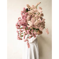 バラ レモンフォセット Tokyo Shokubutsu Zufu