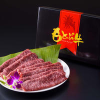 御菓子御殿 プリンセスムーンセット シークワーサー マンゴー 10個入り Twc Store 御菓子御殿 プリンセスムーンセット シークワーサー マンゴー 10個入り Twc Store