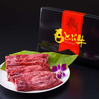 御菓子御殿 プリンセスムーンセット シークワーサー マンゴー 10個入り Twc Store 御菓子御殿 プリンセスムーンセット シークワーサー マンゴー 10個入り Twc Store