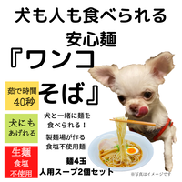 醤油 豚骨 極細麺ラーメンセット 食セット 送料無料 お家で専門店の麺を 内田製麺販売所