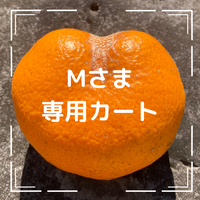 Mさま専用カート