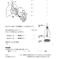 消化酵素とその働きを覚える We Love Science