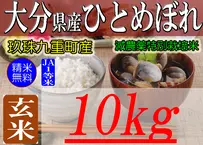 人気カテゴリー 令和元年収穫 新潟産 コシヒカリ 玄米 30キロ 米/穀物