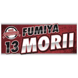 プロ野球独立リーグ 信濃グランセローズ 応援グッズ販売開始 My Star Online