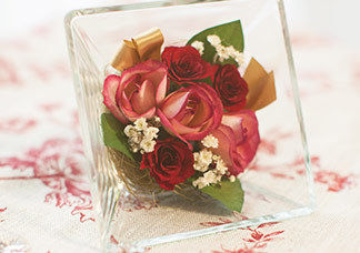 text_area_image