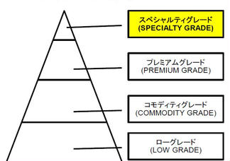 text_area_image