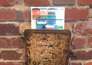 text_area_image