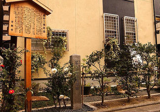 text_area_image