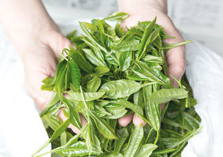text_area_image