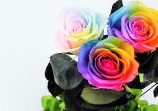 text_area_image