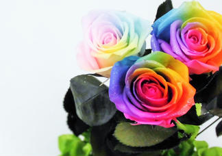 text_area_image