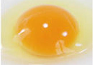 text_area_image