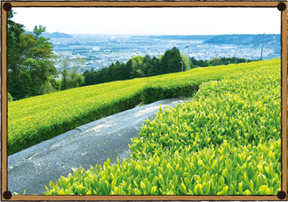 text_area_image