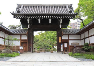 text_area_image