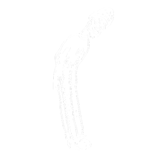 text_area_image
