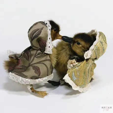 セール特価 ②剥製 ひよこ 雛鳥 魔界の風鷹 ハンドメイド作品 おもちゃ