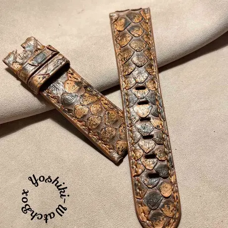 即納最新作 pyt-153 パイソン 腕時計ベルト ブラウン (ラグ幅22mm) の