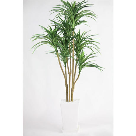 待望の再入荷! 人工観葉植物、フェイクグリーン,造花、 新ドラセナM