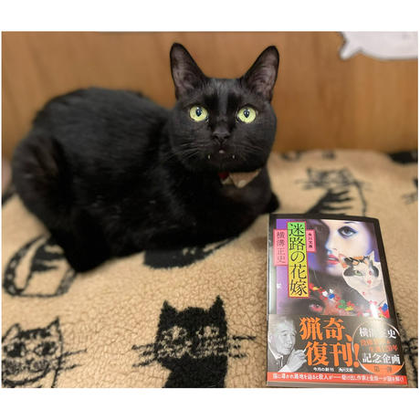 Cat S Meow Books Virtual Shop B