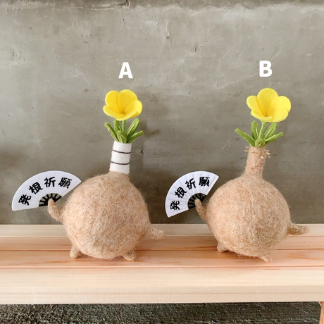 TENDOBOTANICAL グラキリスフィギュア グラ丸2 パキポディウム 塊根植物