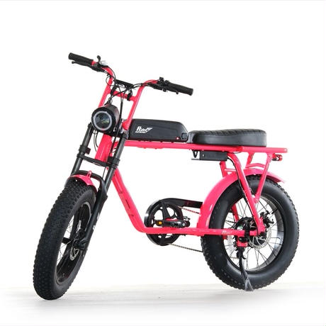 flow bike 電動アシスト自転車