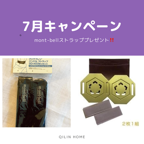 保障できる】 【専用】FTWフィオーラ＆フォーグ 健康用品 - education