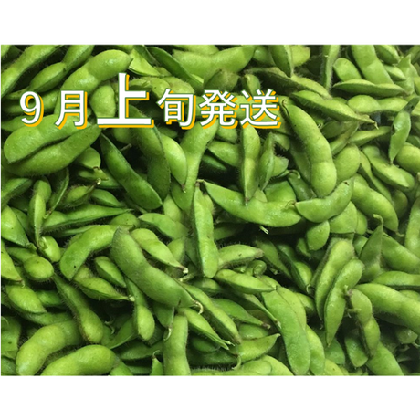 5f05d02fdf62a910999913d3