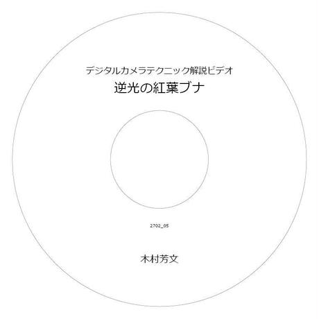 56ff59e7100315729c0040f5