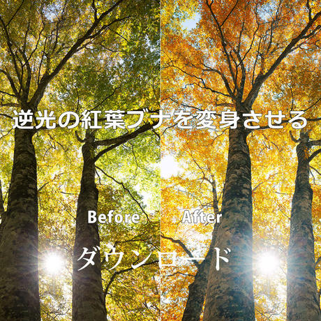 5535974586b18824ba001d5a