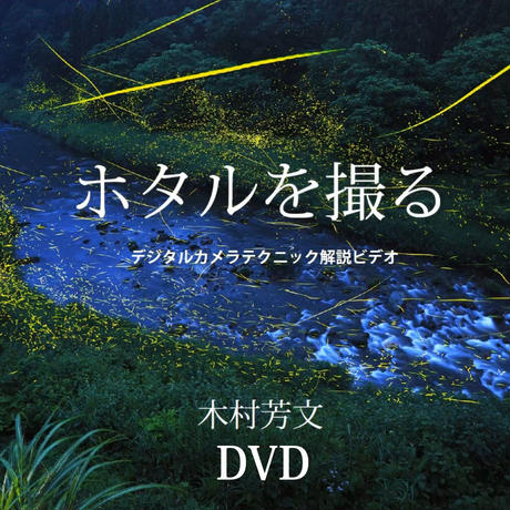 56ff57b5100315729c00404e