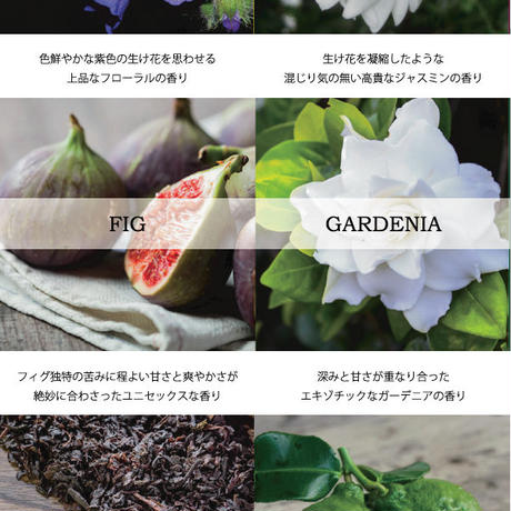 5a386451f22a5b314100068d