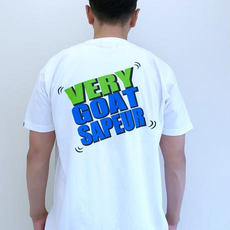 5ad4426a434c722b5c000161