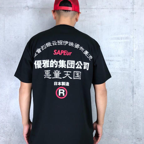 5b6d29855496ff3a280045cc