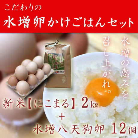 5bbf21fc626c84583d00056d