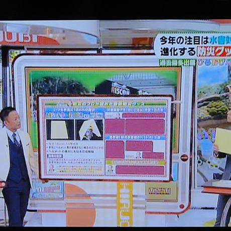 55ff684d2b3492e223002303